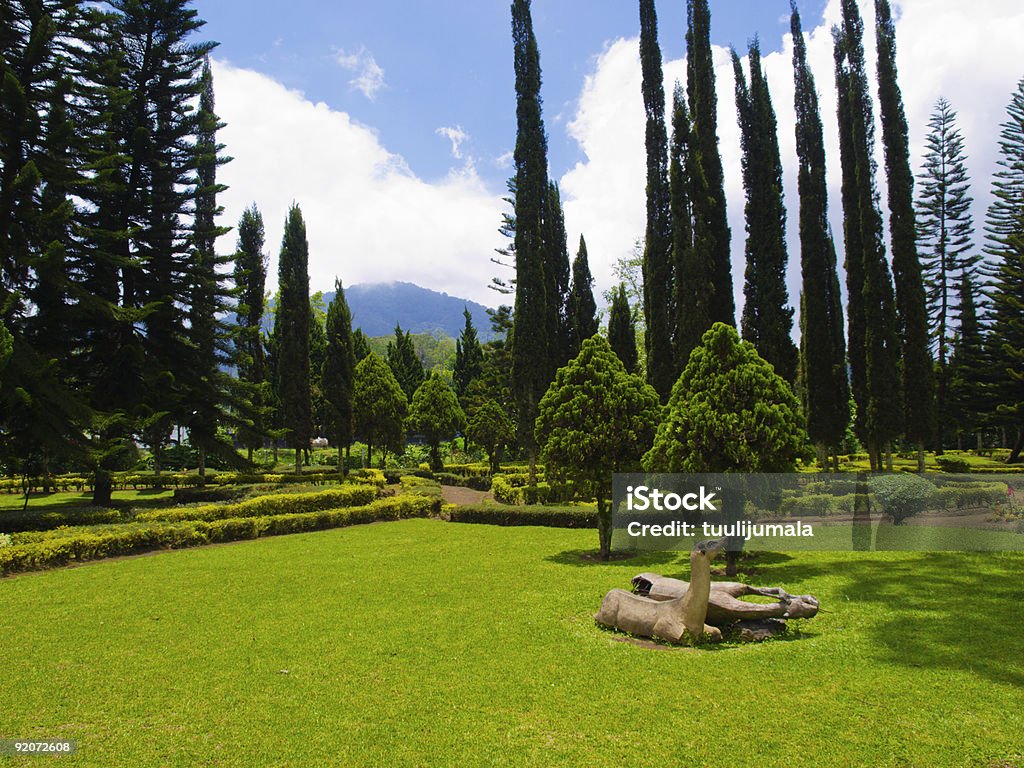 Ulun Danau Temple Ogród Pejzaż, Bali, Indonezja - Zbiór zdjęć royalty-free (Azja)