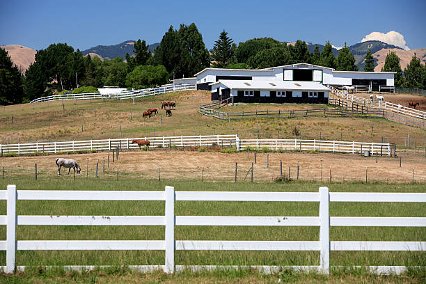 istock Horse/ranch/farm/stables 92072750