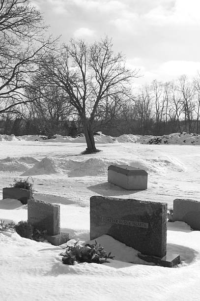 istock Cemetery Vault Under Bare Winter Tree Near  A Tombstone 92072974
