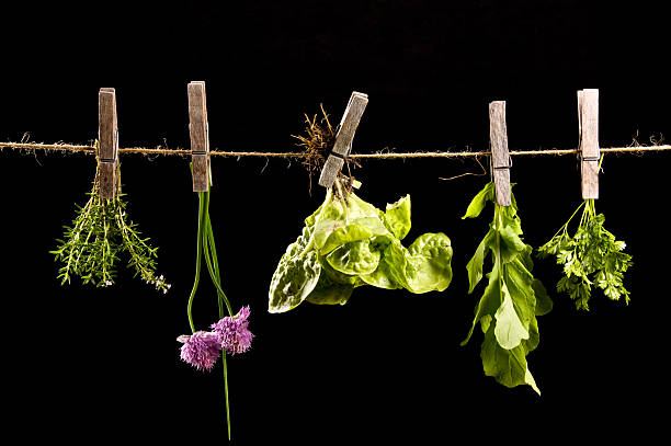 lattuga e erbe - green food chervil herb foto e immagini stock