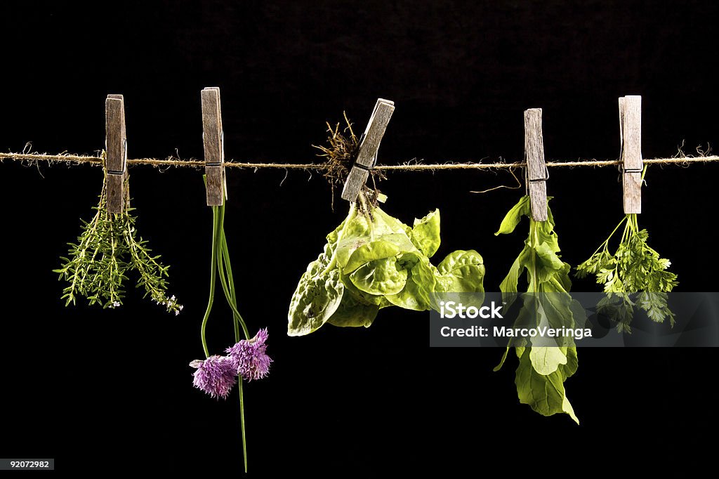 Alface e plantas aromáticas - Royalty-free Cordel Foto de stock