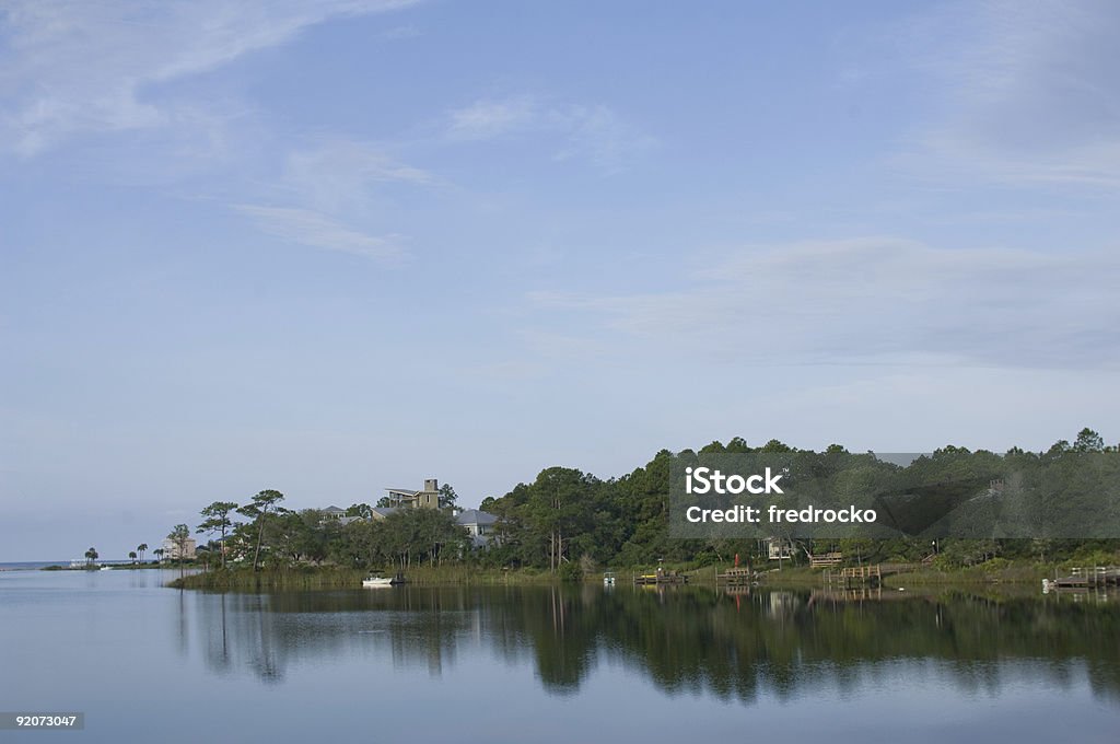 lac - Photo de Arbre libre de droits