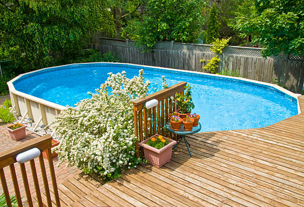 piscina de natação - oval shape fotos imagens e fotografias de stock