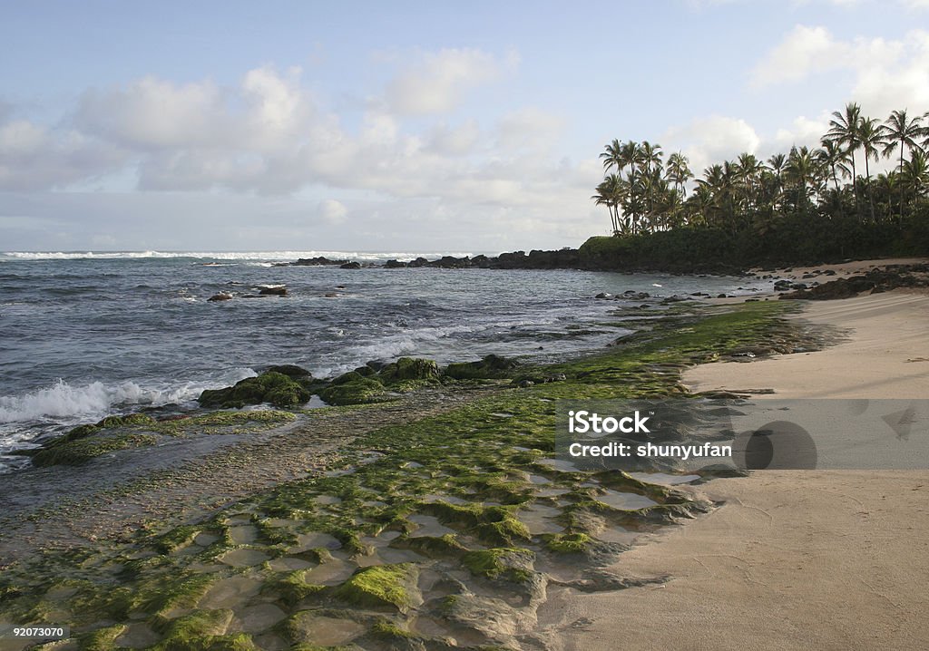 ハワイ: オアフ島 - オアフ島のロイヤリティフリーストックフォト