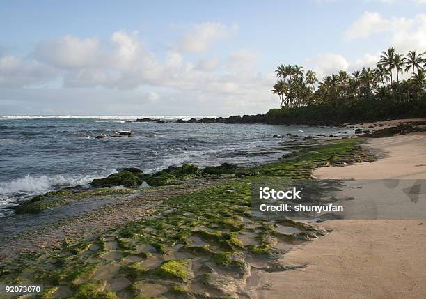 ハワイ オアフ島 - オアフ島のストックフォトや画像を多数ご用意 - オアフ島, オアフ島 ノースショア, カラー画像