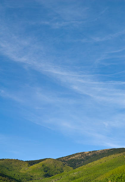 Aspen, Pines, and Big Sky stock photo