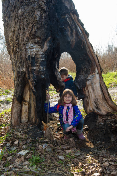 istock Brother and sister pose in nature 920733322