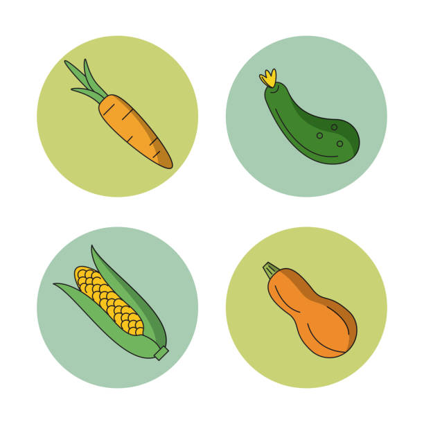 ilustrações de stock, clip art, desenhos animados e ícones de white background with vegetables carrot zucchini cucumber and cob corn in round frames - corn on the cob corn corn crop white background