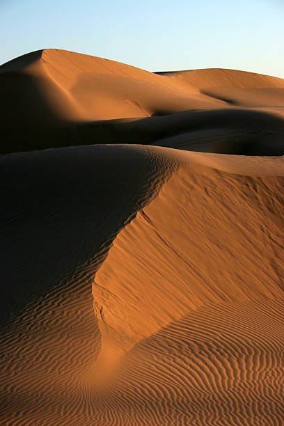 deserto duna de areia - arenology imagens e fotografias de stock