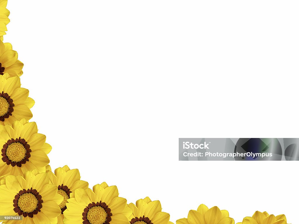 Quadro de flor - Foto de stock de Amor royalty-free