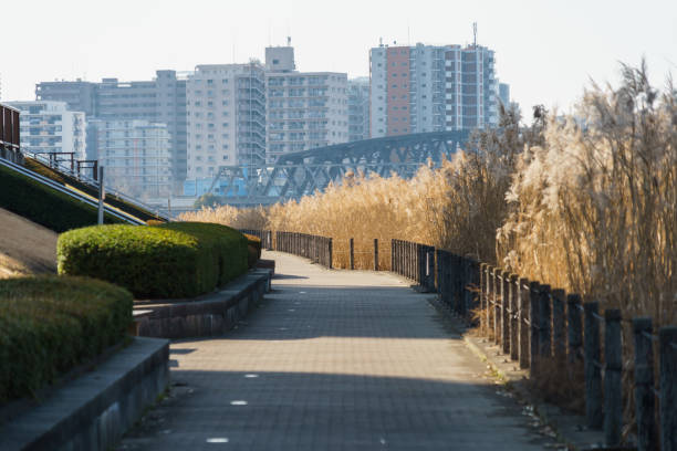 istock River side Promenade in Japan 920747158