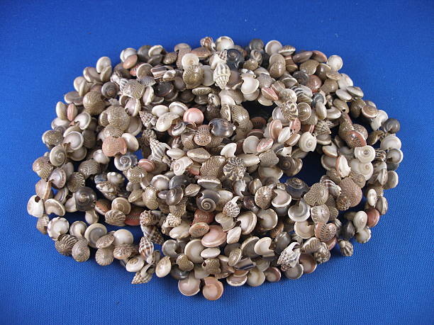Pequeña Seashells - foto de stock