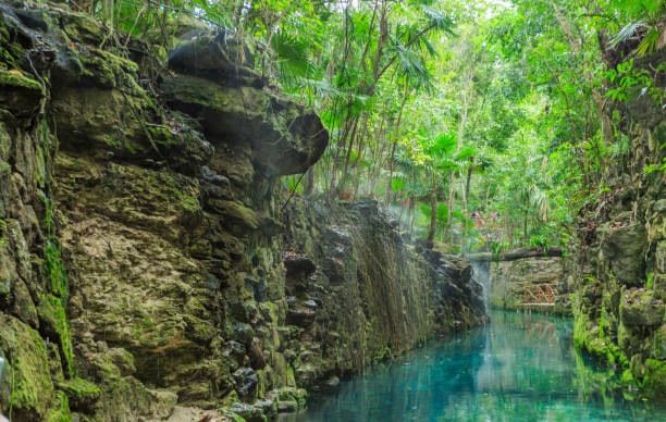 istock Blue river in Xcaret, Mexico 920762370