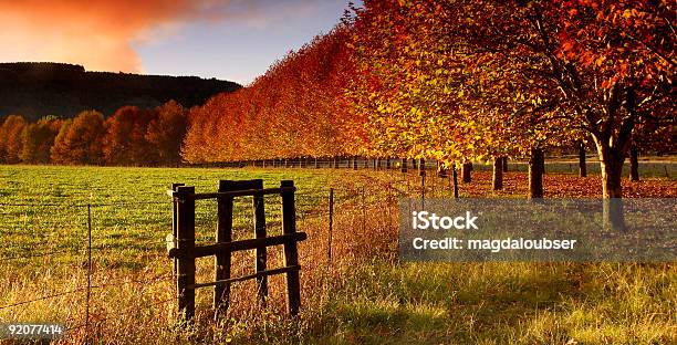 Autumn Lane Stock Photo - Download Image Now - Color Image, Horizontal, No People