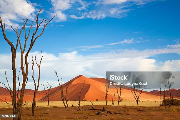 Duene 45 Stockfoto und mehr Bilder von Namibia - Namibia, Namib, Wüste