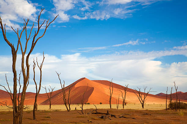 Desert mountain and plain against beautiful blue sky stock photo