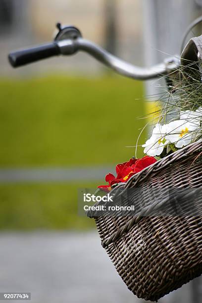 Korb Auf Einem Fahrrad Mit Blumen Stockfoto und mehr Bilder von Farbbild - Farbbild, Fotografie, Niemand