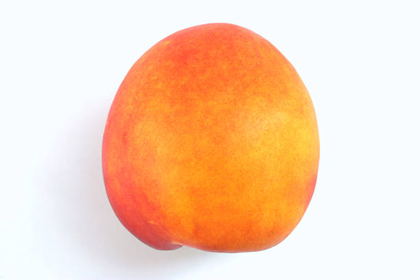 nectarine
