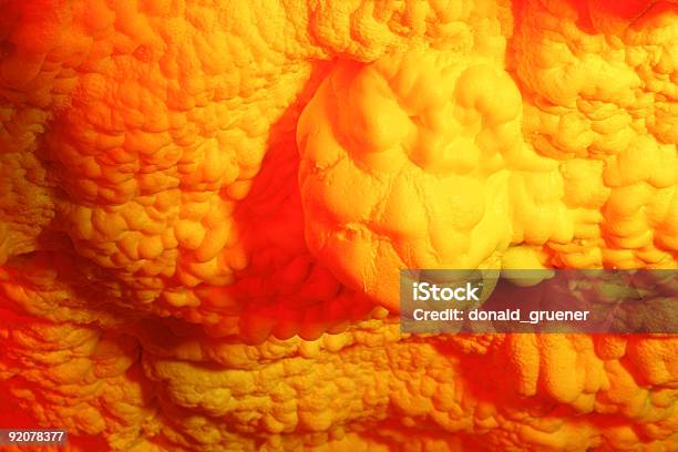 Biological Stock Photo - Download Image Now - Arrangement, Biology, Bizarre