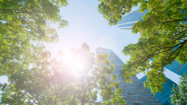 istock perspective exterior pattern blue glass wall modern buildings with green tree leaves 920787120