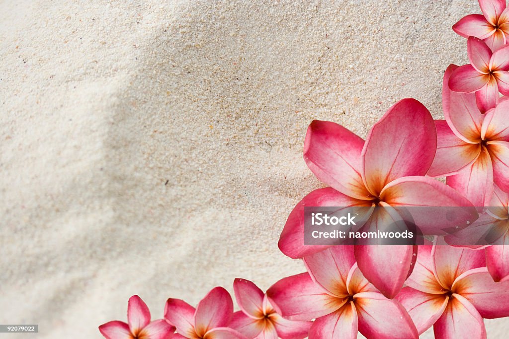 Плюмерия (Plumeria цветок границы на песке - Стоковые фото Без людей роялти-фри