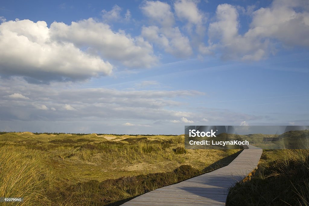 Holzweg - Lizenzfrei Abenddämmerung Stock-Foto