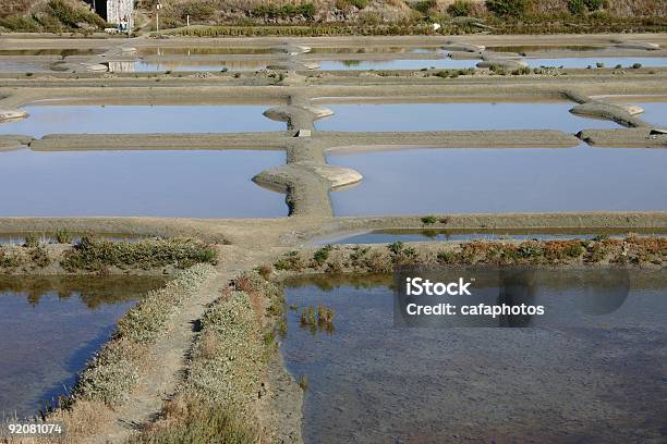 Solución Salina Marshs Foto de stock y más banco de imágenes de Organismo halofílico - Organismo halofílico, Agricultura, Agua