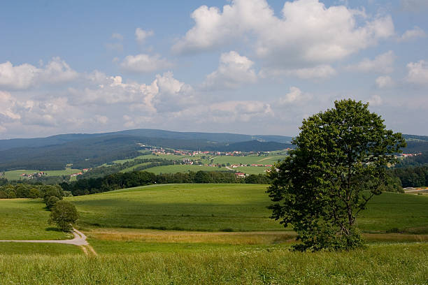 bayerische landschaft - alm bavaria mountain summer stock-fotos und bilder