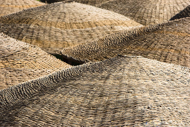 Hintergrund von Strandschirm reed. Nahaufnahme. – Foto