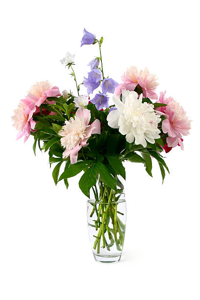 istock bouquet of peonies and bellflowers 92082349