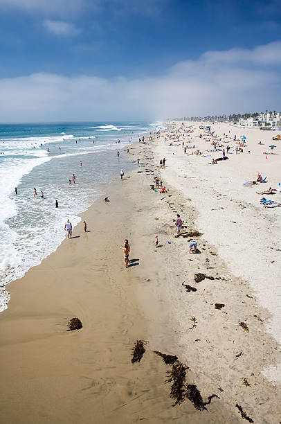 istock Popular Californian Beach 92082427