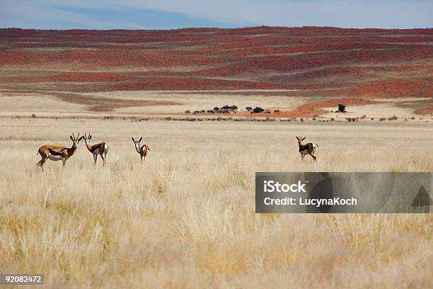 Reservat Stockfoto und mehr Bilder von Afrika - Afrika, Ausgedörrt, Baum