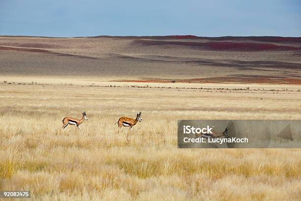 Reservat Stockfoto und mehr Bilder von Dürre - Dürre, Savanne, Tier