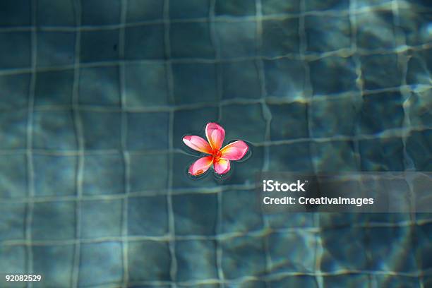 Foto de Frangipani Em Uma Piscina e mais fotos de stock de Acordar - Acordar, Amizade, Amor