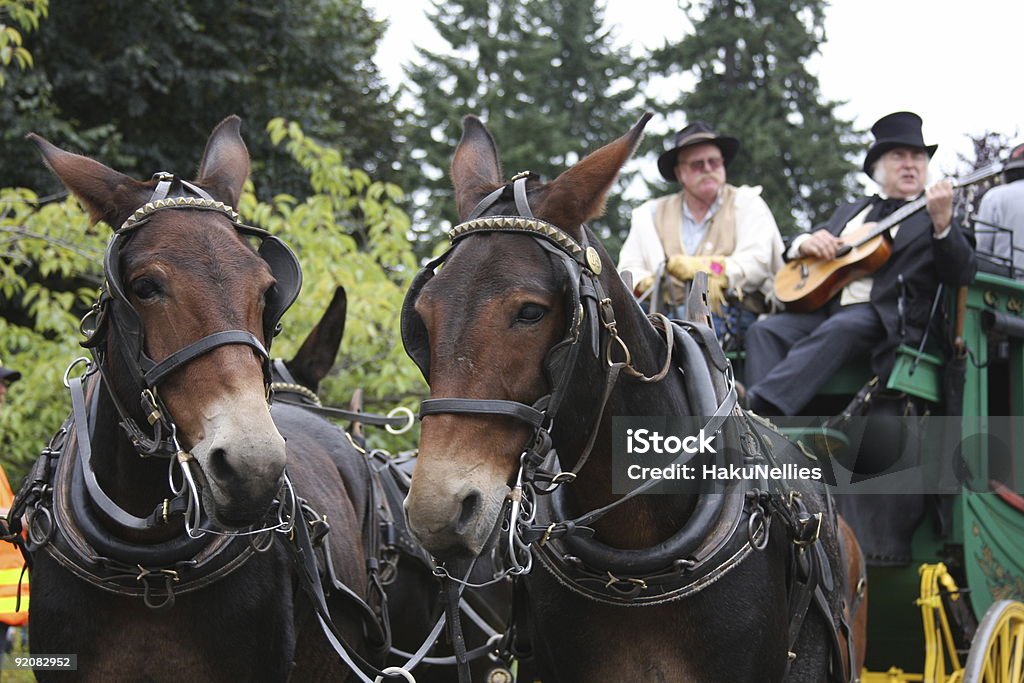 Stagecoach-Blast from the Past  Horse Cart Stock Photo