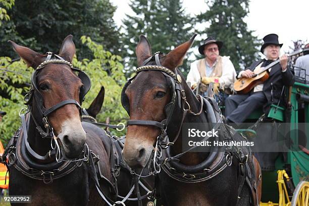 Stagecoachblast From The Past Stock Photo - Download Image Now - Horse Cart, Horse, Mule