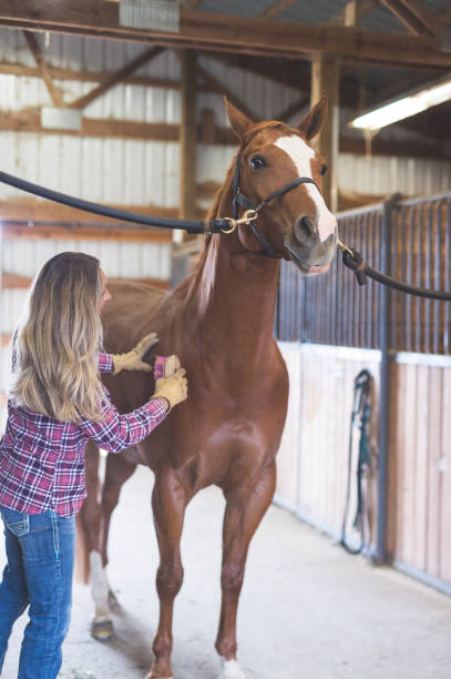 istock A Woman and Her Horse 920831016