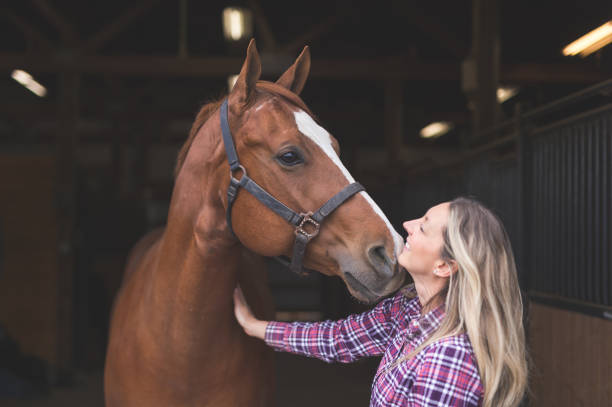 女性と彼女の馬 - riding horse for leisure ストックフォトと画像