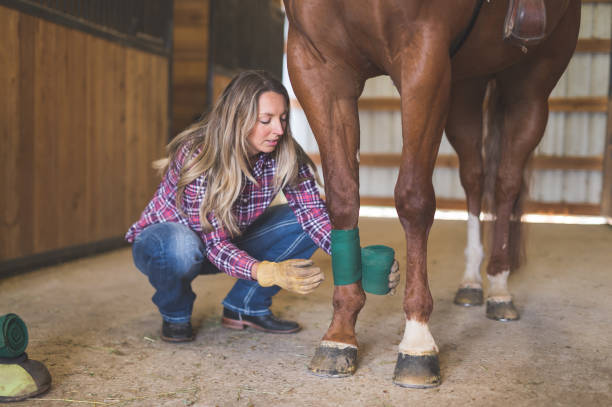 istock A Woman and Her Horse 920831034