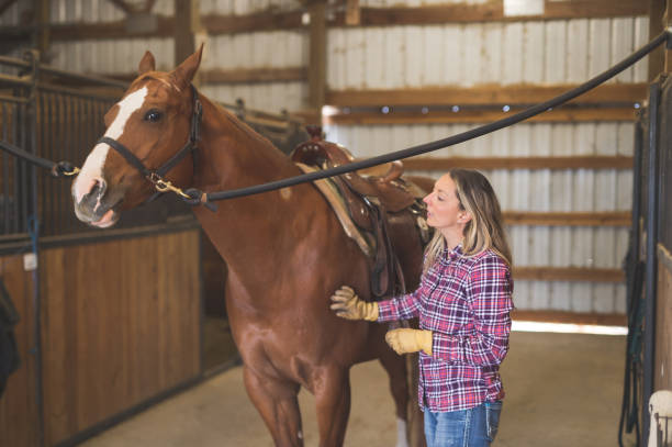 istock A Woman and Her Horse 920831040