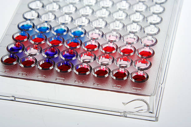 Microplates test stock photo