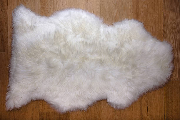 istock Fur carpet on oak wooden floor 92083711