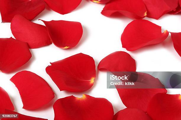 Macro Rose Petals Stock Photo - Download Image Now - Affectionate, Anniversary, Beauty