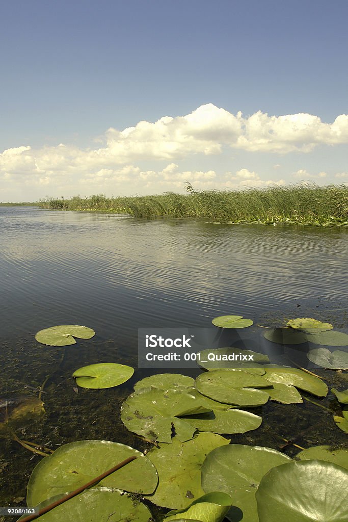 Donaudelta - Lizenzfrei Farbbild Stock-Foto
