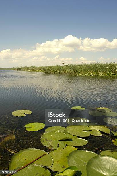 Donaudelta Stockfoto und mehr Bilder von Farbbild - Farbbild, Fotografie, Niemand