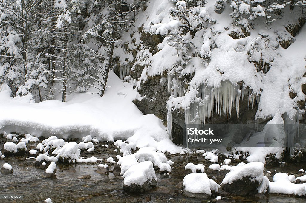 inverno - Foto de stock de Fotografia - Imagem royalty-free