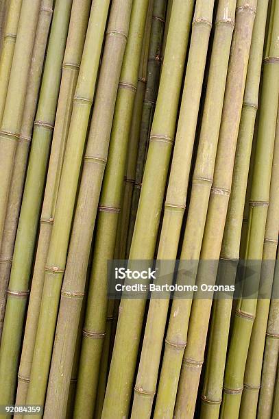 Fondo De Bambú Foto de stock y más banco de imágenes de Color - Tipo de imagen - Color - Tipo de imagen, Fotografía - Imágenes, Papel de pared