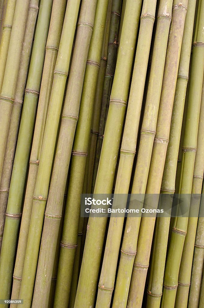 Fundo de Bambu - Royalty-free Fotografia - Imagem Foto de stock