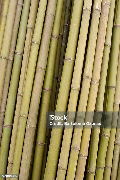 Fundo De Bambu - Fotografias de stock e mais imagens de Fotografia - Imagem - Fotografia - Imagem, Imagem a cores, Ninguém