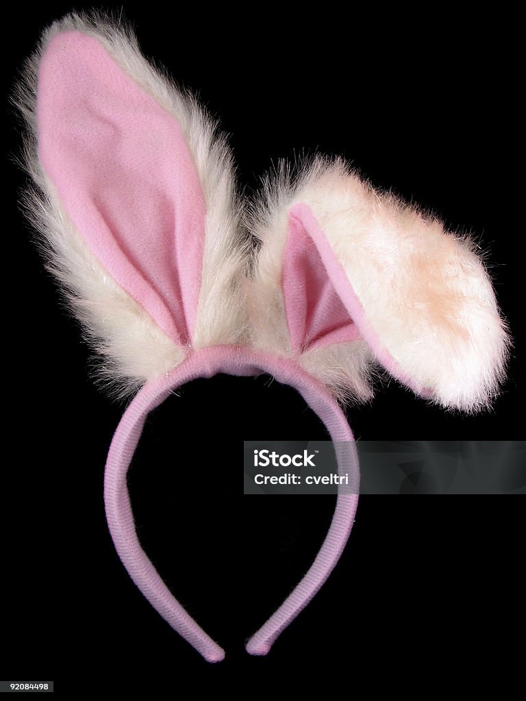 Bunny Ears  Costume Rabbit Ears Stock Photo